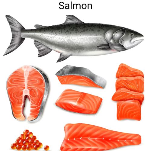 Salmon